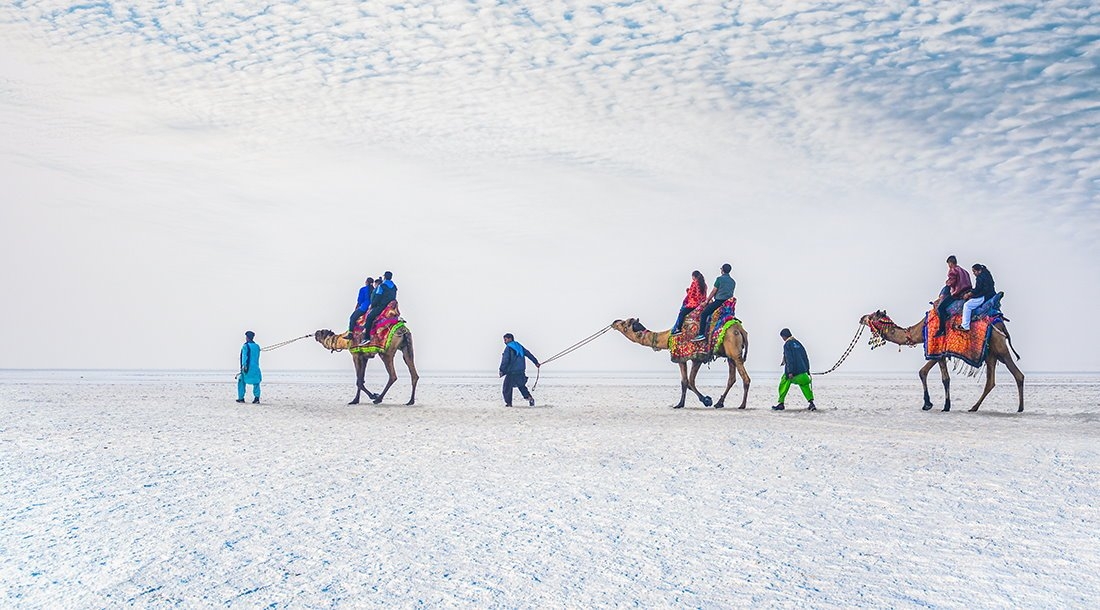 Gleeful Rann Of Kutch 